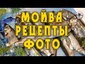 Мойва рецепты фото и видео от Petr de Cril’on &amp; SonyKpK