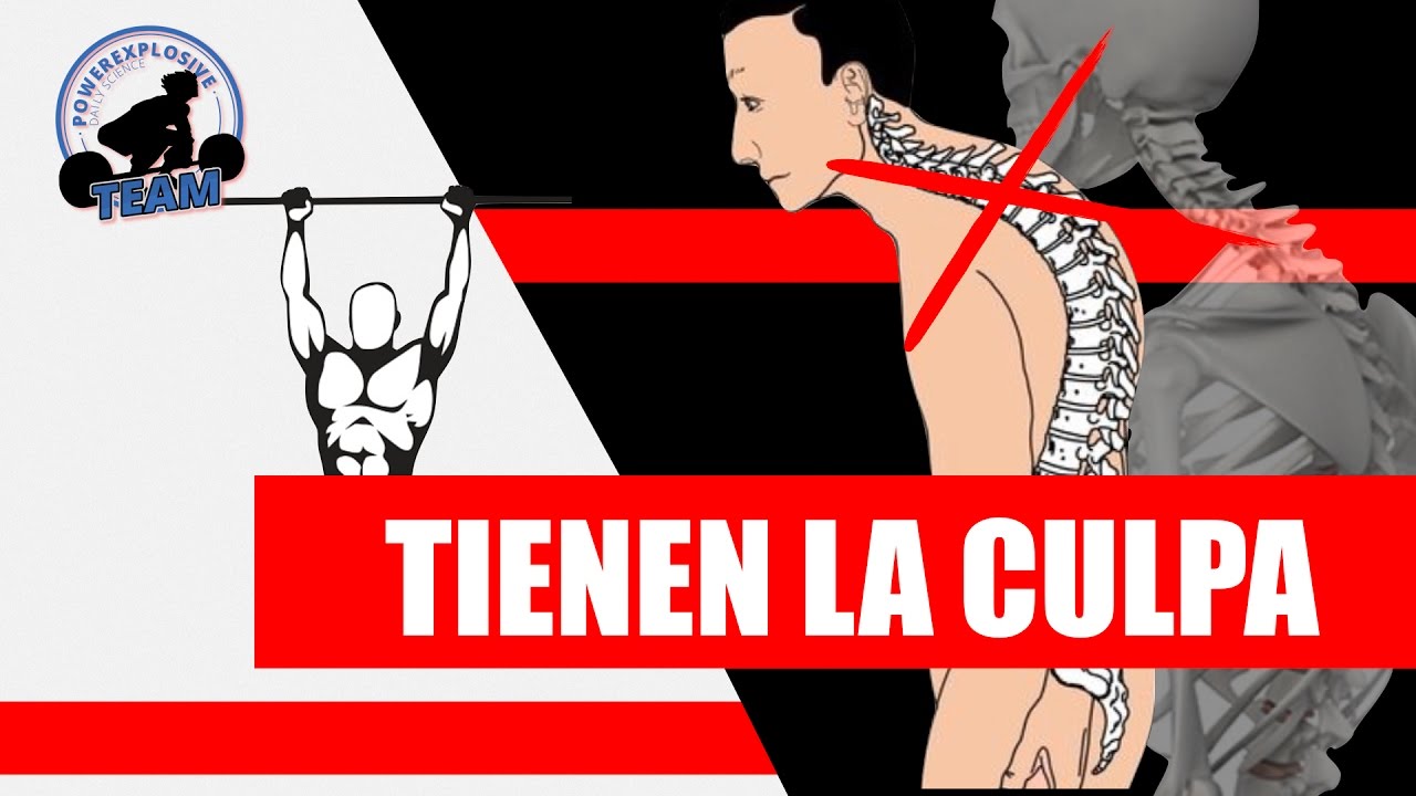 musculos que se ejercitan haciendo dominadas