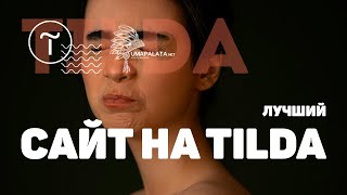 Делаем говносайт за 10$ в Tilda конструктор сайтов | Zero Block