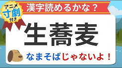 漢字 日本語 Useful Chanel Youtube