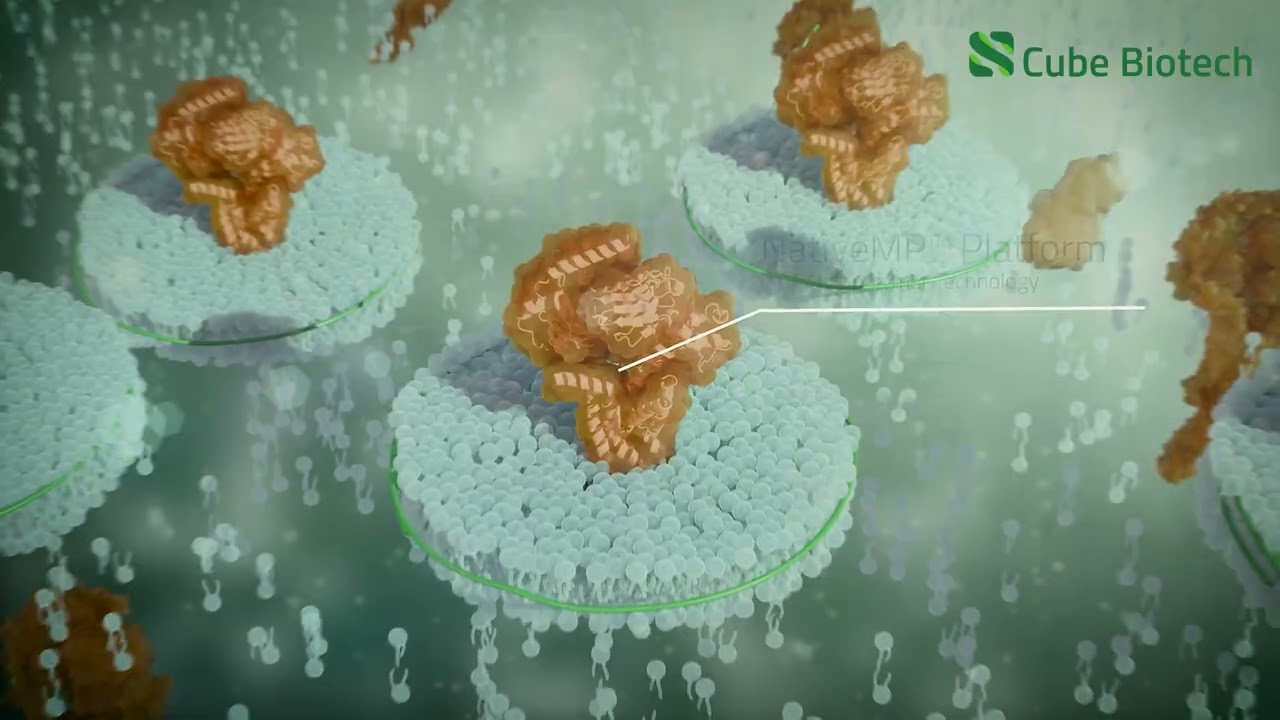 Cube Biotech's Automation Platform: PureHT™ and NativeMP™