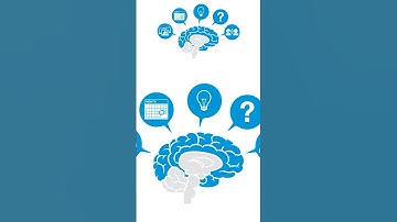 👍🤔 Areas of the brain part 4 #brain #neuroscience #psychology