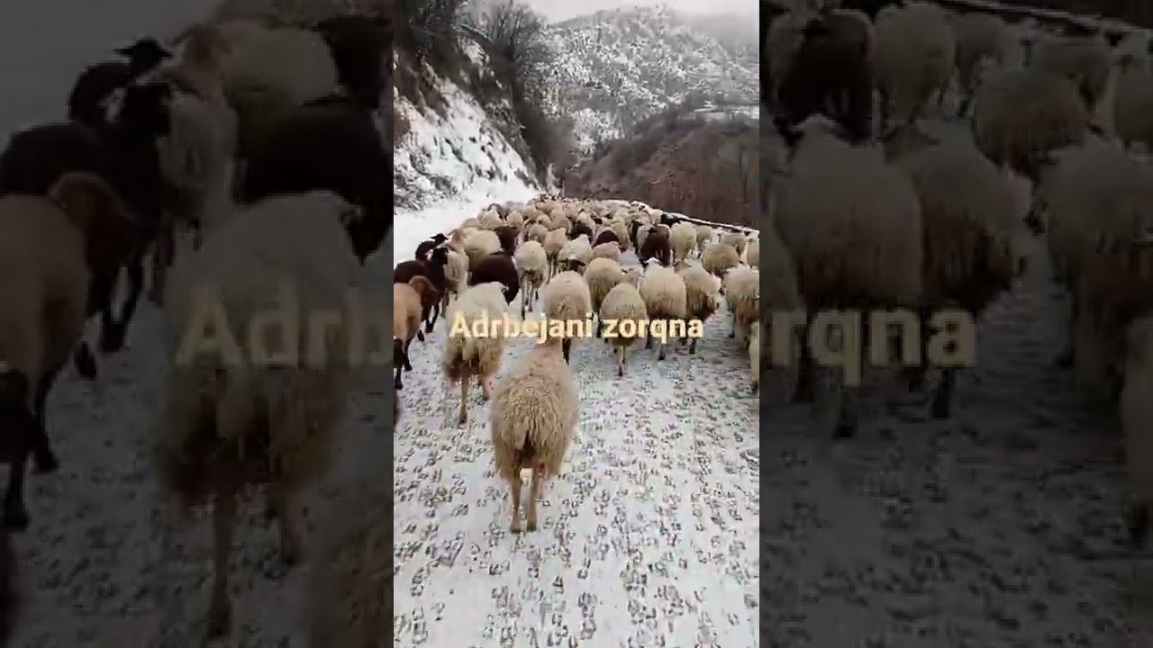 11 февраля 2022 г.