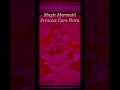 May 26, 2026 Go! Princess Pretty Cure! Cure Flora Amy Adams - Happy Working Song (Slowed)