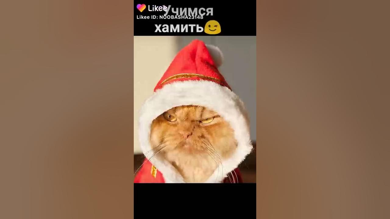 Учимся красиво хамить 😎 - YouTube