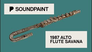 Soundpaint - 1987 Alto Flute Savana Sample Library for $20! by John Marshall - Artist & Musician 81 views 1 year ago 5 minutes, 53 seconds