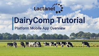 DairyComp Tutorial: Platform Mobile App Overview screenshot 1