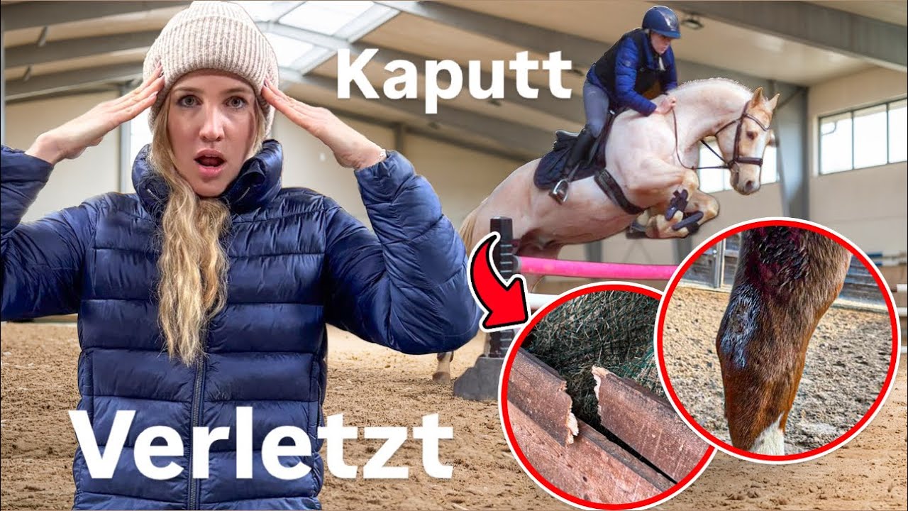 ALLEs geht SCHIEF  ( Pferd verletzt, Raufe kaputt) einfach SCHLIMM😳😭