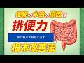 便秘の本当の原因は排便力｜薬に頼らず自然に出す根本改善