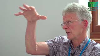 Paediatric endocrinologists discuss thyroid antibodies