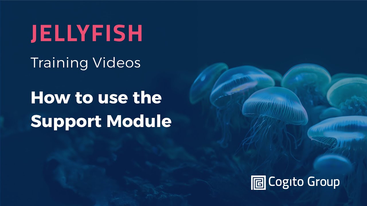 How to use the Support Module - YouTube