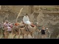 Ruta en camello, Camelus, Pechina, Almería