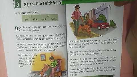 Ch-9,Rajah the faithful dog