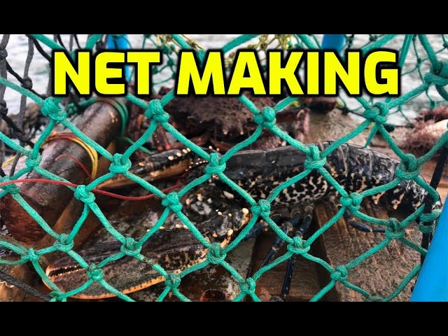 How to make an aquarium fish net at home in malayalam 