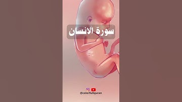 SURAT AL INSAN    سورة الانسان #shortvideo #surat #hajj