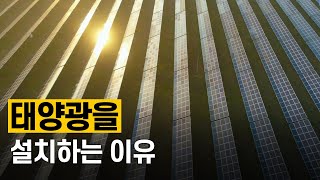 [핫클립] 신재생에너지 발전의 중심 태양광 / YTN 사이언스