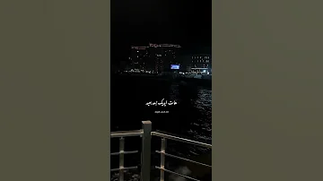 عمرو دياب حالات واتس اب يا حبيب قلبي الوحيد 