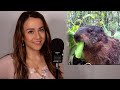 ASMR Surprising a Groundhog with his own Garden ! 🥬🦫🕳