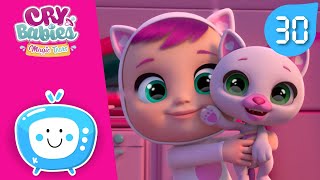 PETS IN LOVE  CRY BABIES  MAGIC TEARS  CARTOONS for KIDS in ENGLISH  LONG VIDEO