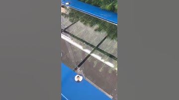 High -Density Multirower Planting Pine Trees   (automatic forestry transplanter)