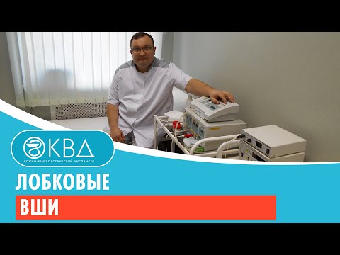 Лобковые вши