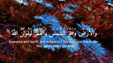 راحه نفسيه من القرآن الكريم 🤍🤍#اكسبلور #راحة_نفسية #لايك #القرآن_الكريم
