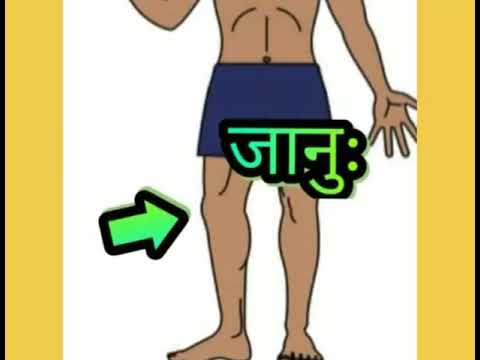 Body language name in Sanskrit language - YouTube