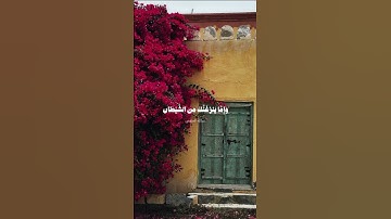 ﴿ خُذِ العَفوَ وَأمُر بِالعُرفِ وَأَعرِض عَنِ الجاهِلينَ ﴾ | #سورة_الأعراف #عبدالله_الجهني
