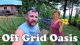 We Finally Got It Figured Out – You Need to See This! - Garden Update. -remote living 