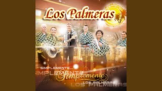 Video thumbnail of "Los Palmeras - Me Acostumbre a Tí"