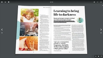 Real3D Flipbook PDF Viewer for WordPress and HTML