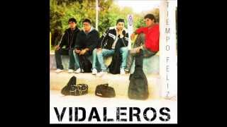 Video thumbnail of "Vidaleros - Tarija"