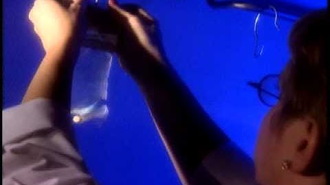 PharmNet Marketing Video - Cerner