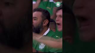 Palmeiras E Botafogo Empatam Pelo Brasileirão E Torcida Do Fogão Provoca Resimi