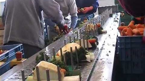 Sroka S 1202 Soup Package