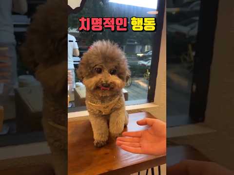 표정변화 끝판왕 개