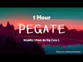Standly - PEGATE Standly - PEGATE