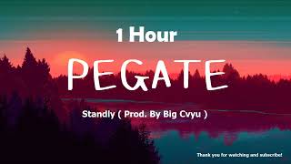Standly - PEGATE Prod. By Big Cvyu 1 Hour 