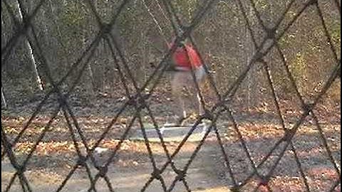 Fastpitch Softball Drop Curve Change