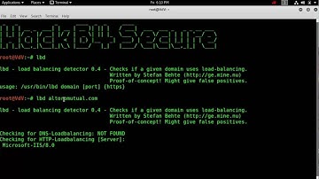 Kali Linux Tools - Information Gathering -- lbd tool