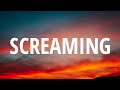 Miniature de la vidéo de la chanson Screaming