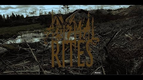 ABYSMAL RITES - The Zone [Music Video]