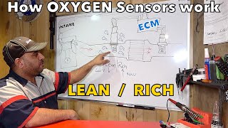 How oxygen sensors work   |    Oxygen sensors  Explained