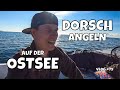 Erfolgreich auf Dorsch mit Gummifisch | Das erste Mal auf der OSTSEE ❗ | Angeln vom Boot | Vlog #79