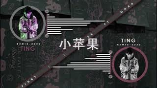 Ting - Xiao Ping Guo 小苹果 Remix 2022