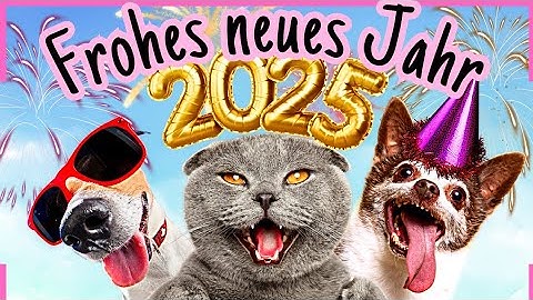 LUSTIGE Neujahrsgrüße 2025 🥳 Hab ein frohes neues Jahr 🎉