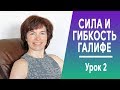 #252 Галифе и тазобедренные суставы. Гибкость и сила. Урок 2.