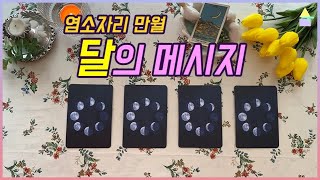 [타로카드] 달의 메시지 (feat. 염소자리 만월) PICK A CARD