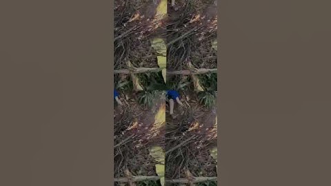 Cá nướng: câu cá và nướng cá