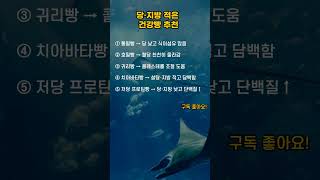 당.지방 적은 건강빵 추천 #건강빵추천 #저당저지방 #다이어트식품